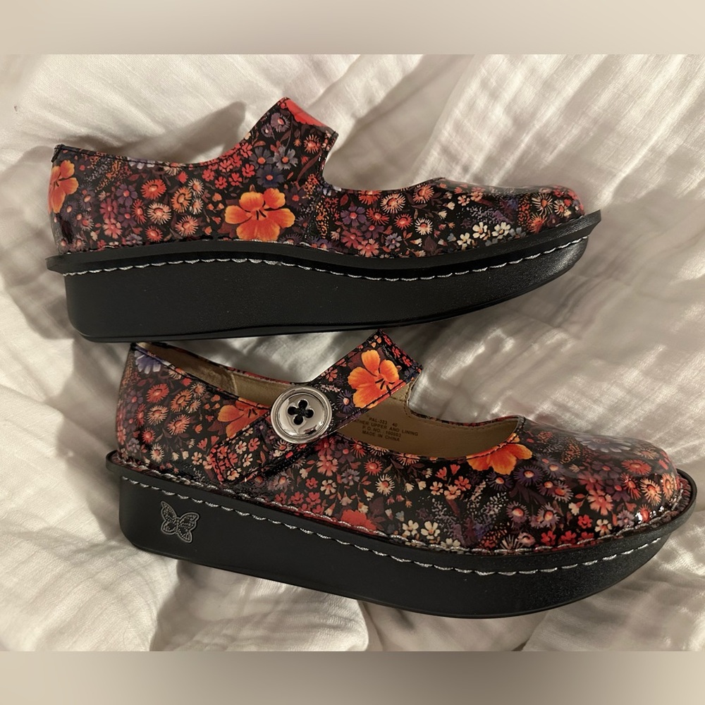 Algeria Paloma Midnight (New in box)